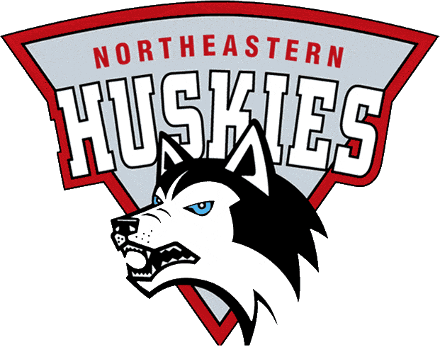 Northeastern Huskies 1992-2000 Primary Logo diy fabric transfer